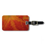 Red Maple Leaf Abstract Autumn Nature Photography Luggage Tag
