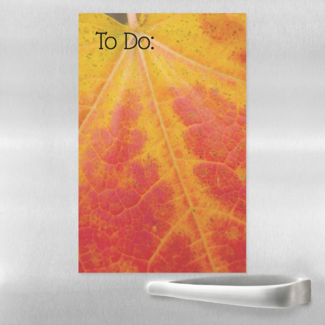 Red Maple Leaf Abstract Autumn Nature Photography Magnetic Dry Erase Sheet (In Situ)