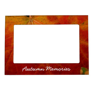 Red Maple Leaf Abstract Autumn Nature Photography Magnetic Frame