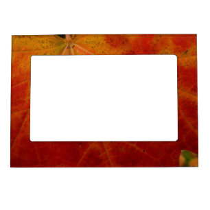 Red Maple Leaf Abstract Autumn Nature Photography Magnetic Photo Frame