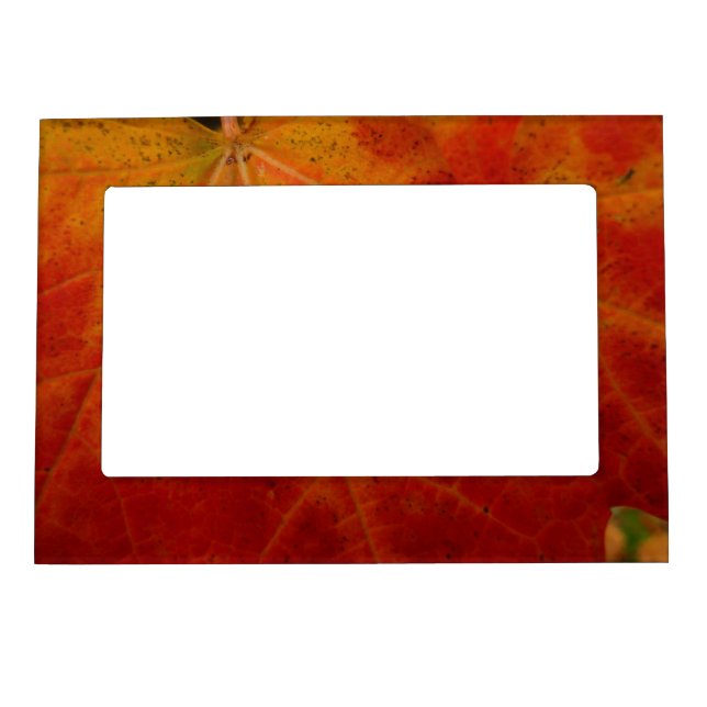 Red Maple Leaf Abstract Autumn Nature Photography Magnetic Photo Frame (Front)
