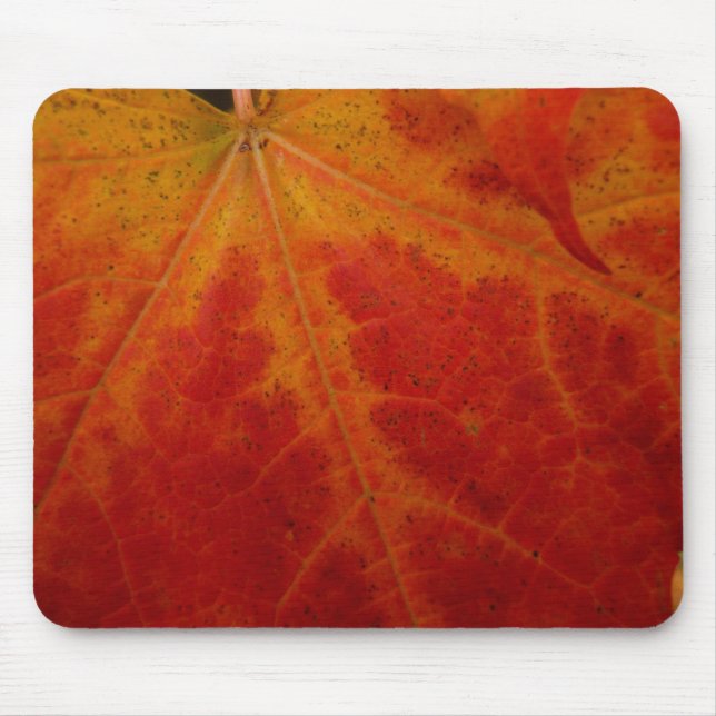 Red Maple Leaf Abstract Autumn Nature Photography Mouse Pad (Front)