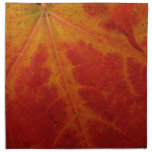 Red Maple Leaf Abstract Autumn Nature Photography Napkin