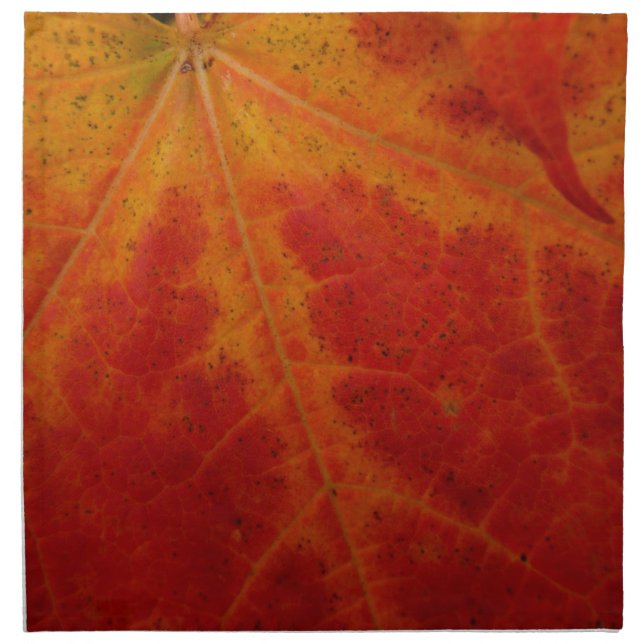 Red Maple Leaf Abstract Autumn Nature Photography Napkin (Front)