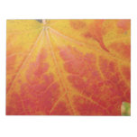 Red Maple Leaf Abstract Autumn Nature Photography Notepad