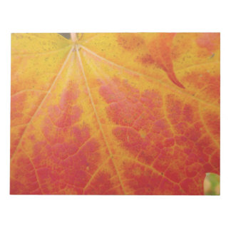 Red Maple Leaf Abstract Autumn Nature Photography Notepad