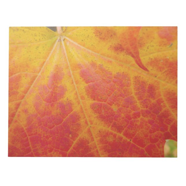 Red Maple Leaf Abstract Autumn Nature Photography Notepad (Front)