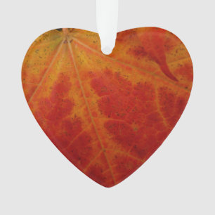 Red Maple Leaf Abstract Autumn Nature Photography Ornament