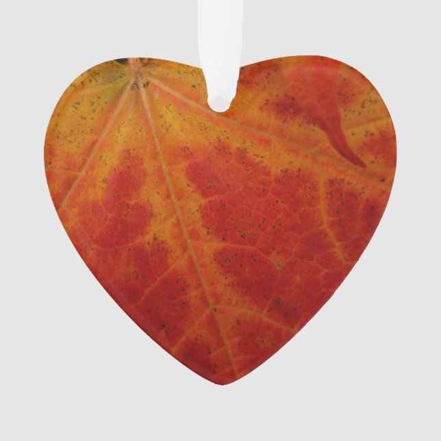 Red Maple Leaf Abstract Autumn Nature Photography Ornament (Front)