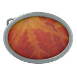 Red Maple Leaf Abstract Autumn Nature Photography Oval Belt Buckle