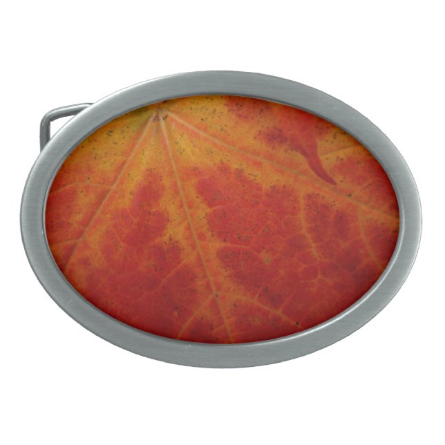 Red Maple Leaf Abstract Autumn Nature Photography Oval Belt Buckle (Front)