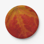 Red Maple Leaf Abstract Autumn Nature Photography Paper Plate