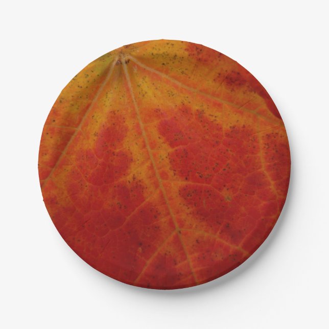 Red Maple Leaf Abstract Autumn Nature Photography Paper Plates (Front)