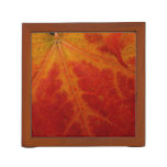 Red Maple Leaf Abstract Autumn Nature Photography Pencil/Pen Holder