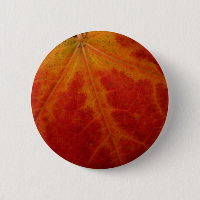 Red Maple Leaf Abstract Autumn Nature Photography Pinback Button (Front)