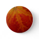 Red Maple Leaf Abstract Autumn Nature Photography Pinback Button