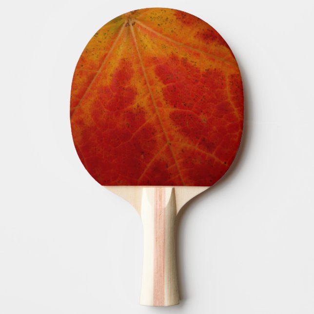Red Maple Leaf Abstract Autumn Nature Photography Ping-Pong Paddle (Front)