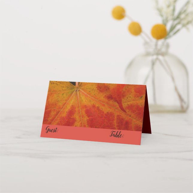 Red Maple Leaf Abstract Autumn Nature Photography Place Card (Front)
