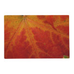 Red Maple Leaf Abstract Autumn Nature Photography Placemat
