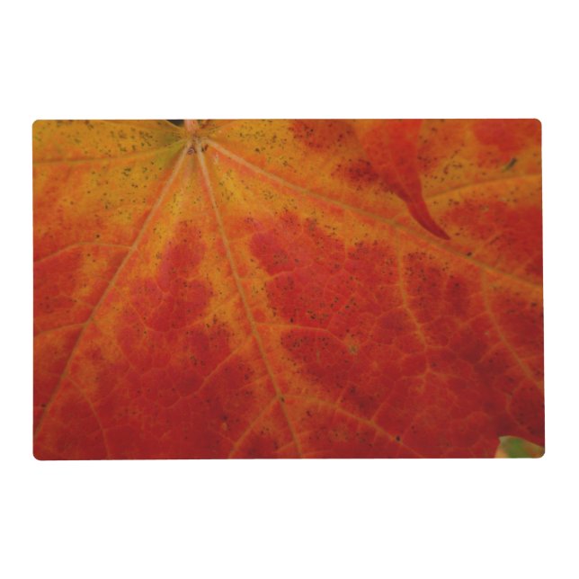 Red Maple Leaf Abstract Autumn Nature Photography Placemat (Front)