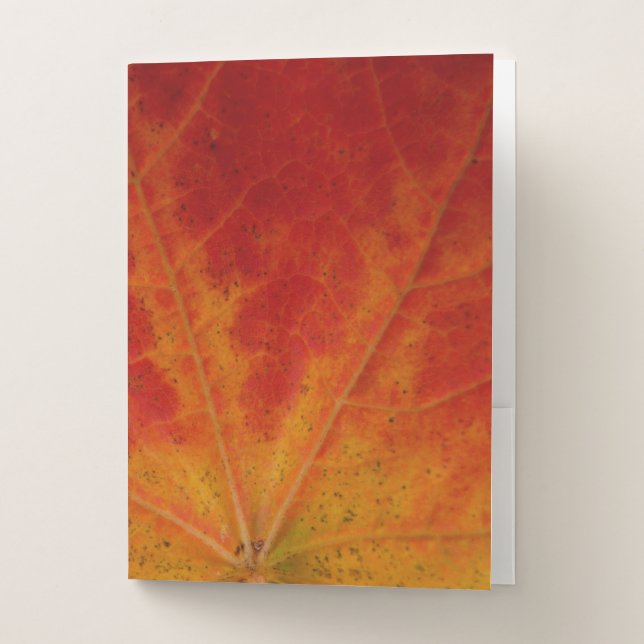 Red Maple Leaf Abstract Autumn Nature Photography Pocket Folder (Front)