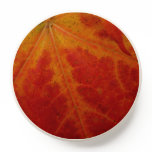 Red Maple Leaf Abstract Autumn Nature Photography PopSocket