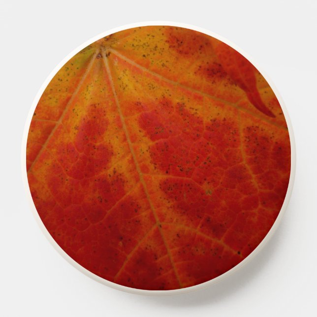 Red Maple Leaf Abstract Autumn Nature Photography PopSocket (Popsocket)