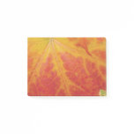Red Maple Leaf Abstract Autumn Nature Photography Post-it Notes