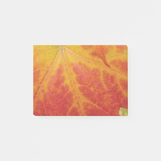 Red Maple Leaf Abstract Autumn Nature Photography Post-it Notes (Front)