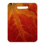 Red Maple Leaf Abstract Autumn Nature Photography Seat Cushion