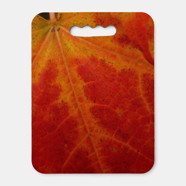 Red Maple Leaf Abstract Autumn Nature Photography Seat Cushion (Front Vertical)