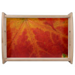 Red Maple Leaf Abstract Autumn Nature Photography Serving Tray
