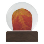 Red Maple Leaf Abstract Autumn Nature Photography Snow Globe