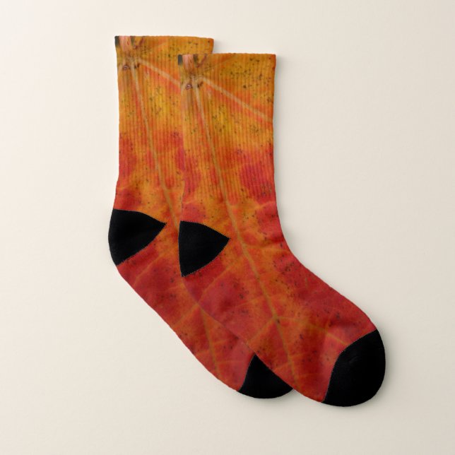 Red Maple Leaf Abstract Autumn Nature Photography Socks (Pair)