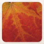 Red Maple Leaf Abstract Autumn Nature Photography Square Paper Coaster