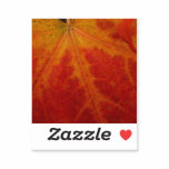Red Maple Leaf Abstract Autumn Nature Photography Sticker