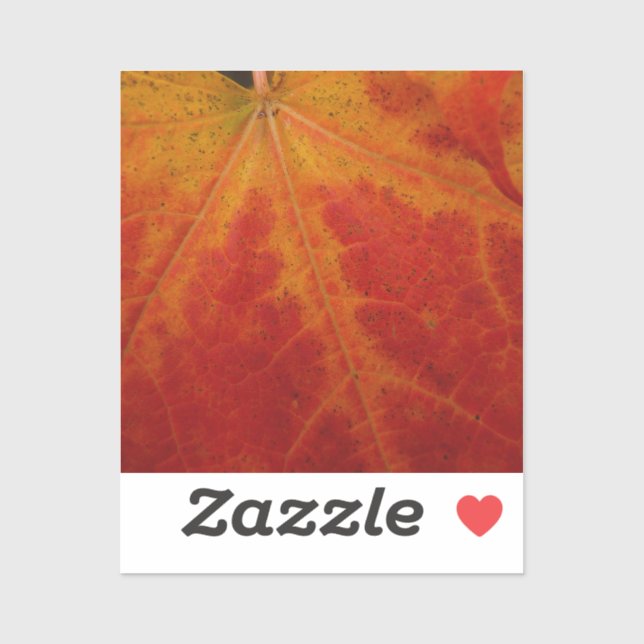 Red Maple Leaf Abstract Autumn Nature Photography Sticker (Sheet)