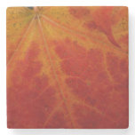 Red Maple Leaf Abstract Autumn Nature Photography Stone Coaster