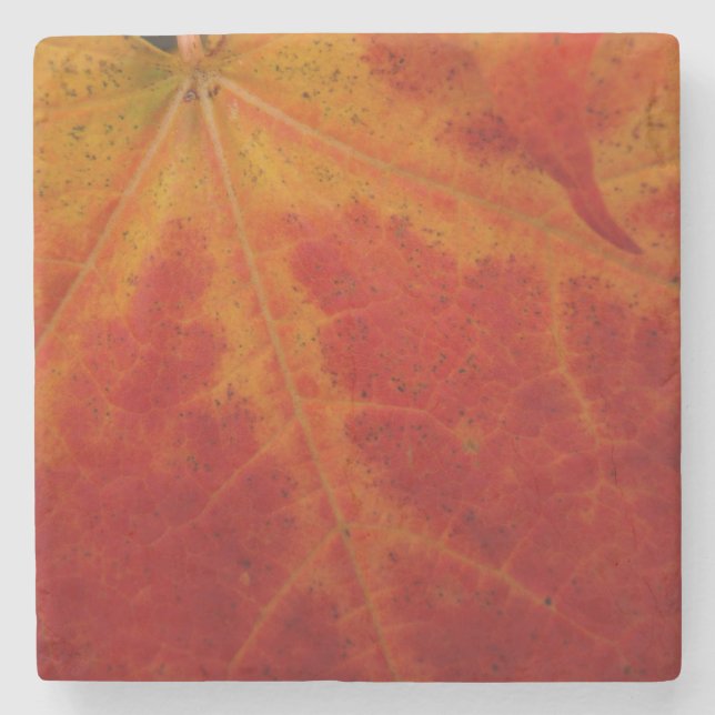 Red Maple Leaf Abstract Autumn Nature Photography Stone Coaster (Front)