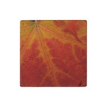 Red Maple Leaf Abstract Autumn Nature Photography Stone Magnet