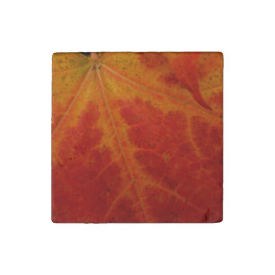 Red Maple Leaf Abstract Autumn Nature Photography Stone Magnet