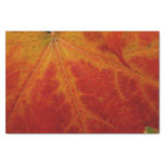 Red Maple Leaf Abstract Autumn Nature Photography Tissue Paper