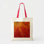 Red Maple Leaf Abstract Autumn Nature Photography Tote Bag