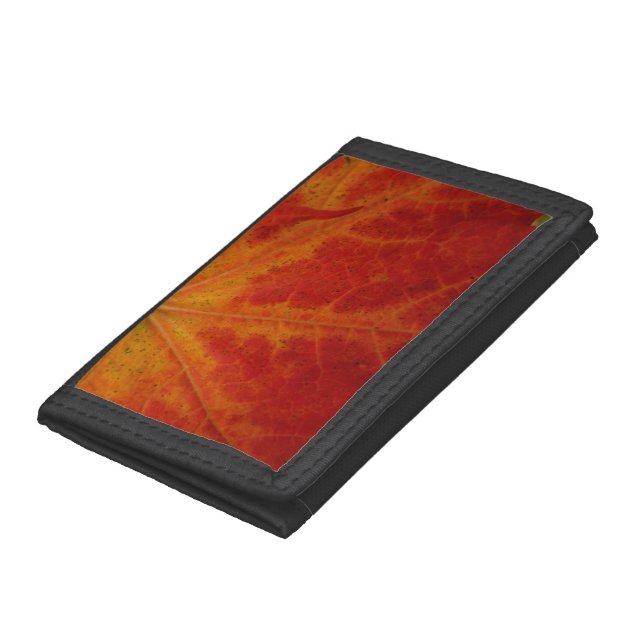 Red Maple Leaf Abstract Autumn Nature Photography Tri-fold Wallet (Bottom)