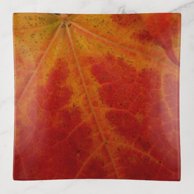 Red Maple Leaf Abstract Autumn Nature Photography Trinket Tray (Front)