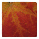 Red Maple Leaf Abstract Autumn Nature Photography Trivet