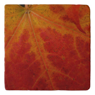 Red Maple Leaf Abstract Autumn Nature Photography Trivet