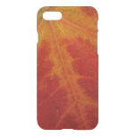 Red Maple Leaf Abstract Autumn Nature Photography iPhone SE/8/7 Case