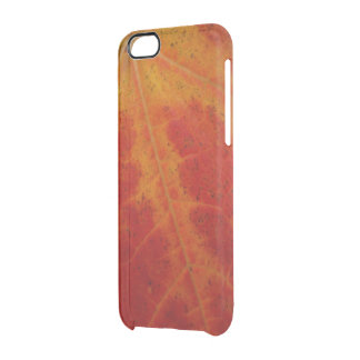 Red Maple Leaf Abstract Autumn Nature Photography Clear iPhone 6/6S Case