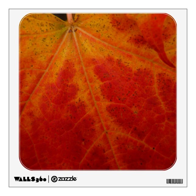 Red Maple Leaf Abstract Autumn Nature Photography Wall Decal (Front)